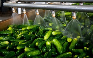 Cucumbers in a washing machinery