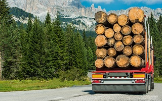 truck carrying timbers